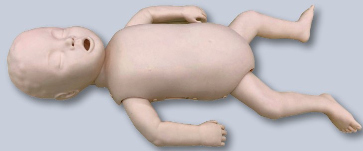 SEEM2-BABY